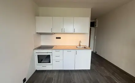 Pronájem bytu 1+1 35 m², Marš. Rybalka, Most