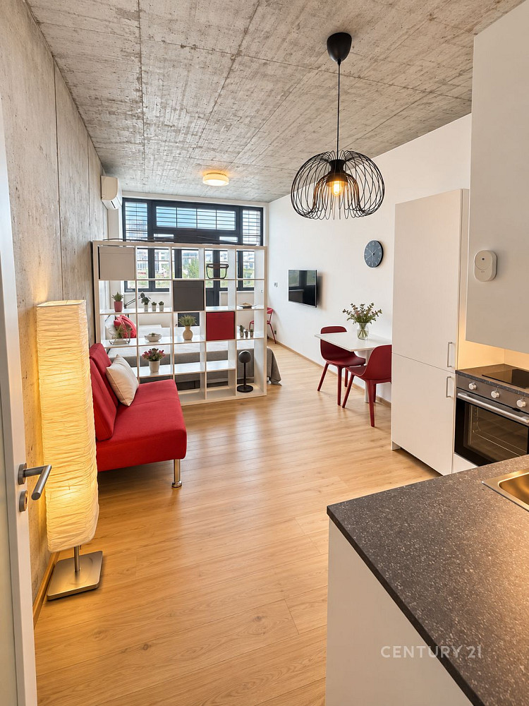 Pronájem bytu 1+kk 38 m² – fotografie 2