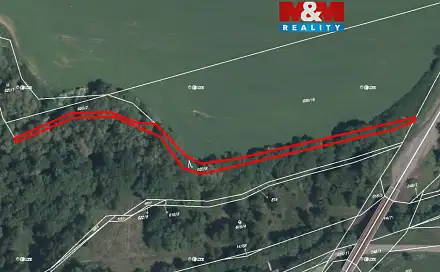 Prodej lesa 909 m², Trhové Dušníky, okres Příbram