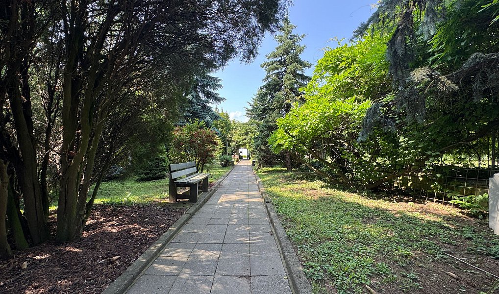 Prodej komerčního objektu (jiného typu) 1 551 m², Kunovice – náhled fotky 54