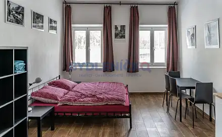 Pronájem bytu 1+kk 30 m², Nová, České Budějovice - České Budějovice 3