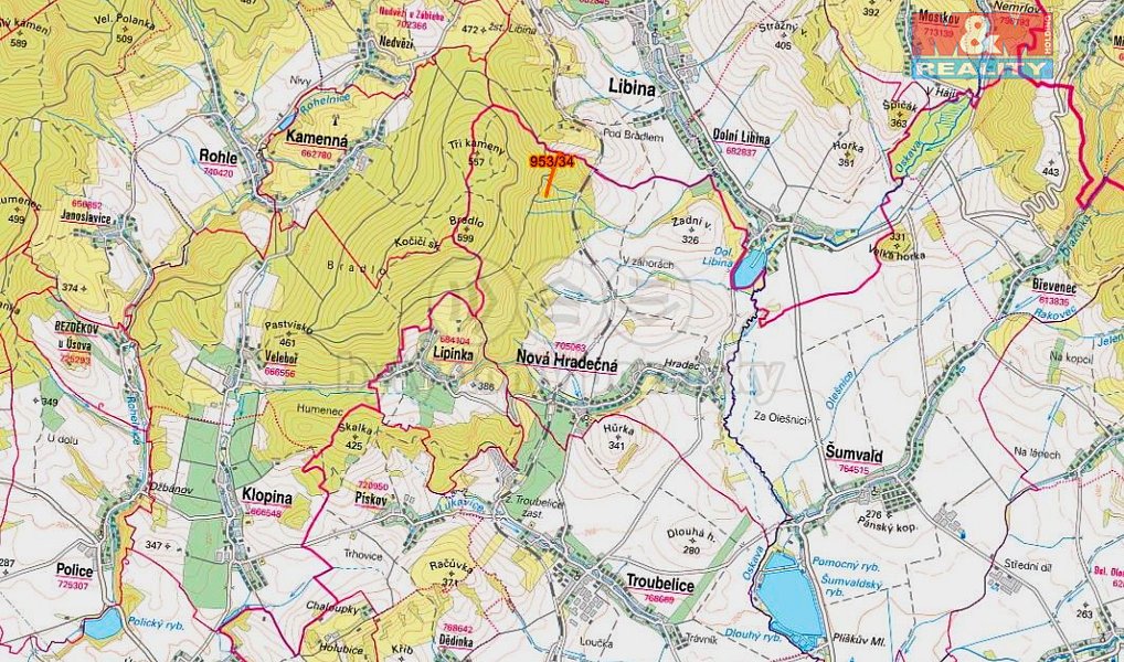 Prodej lesa 5 346 m², Nová Hradečná – náhled fotky 5