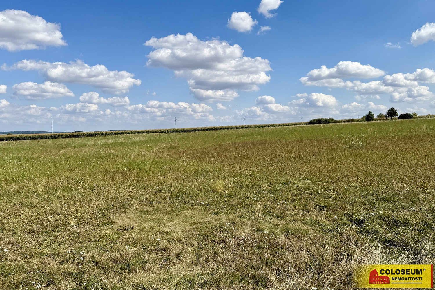 Prodej komerčního pozemku 27 908 m² – fotografie 3