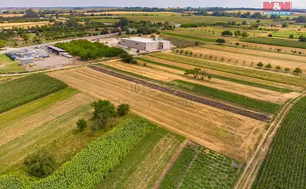 Prodej pole 2 005 m², Podivín, okres Břeclav