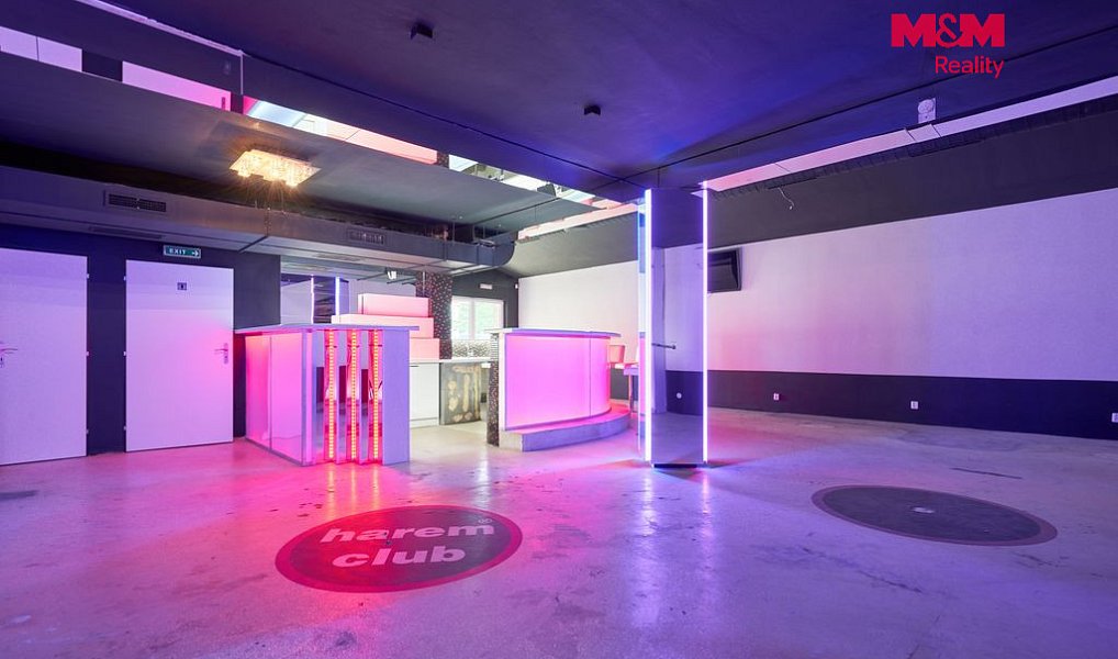 Pronájem obchodních prostor 365 m², Drslavice – náhled fotky 6