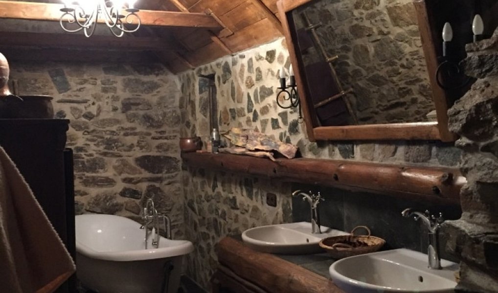 Prodej chaty/chalupy 300 m² s pozemkem 4 419 m², Stráž nad Ohří – náhled fotky 7