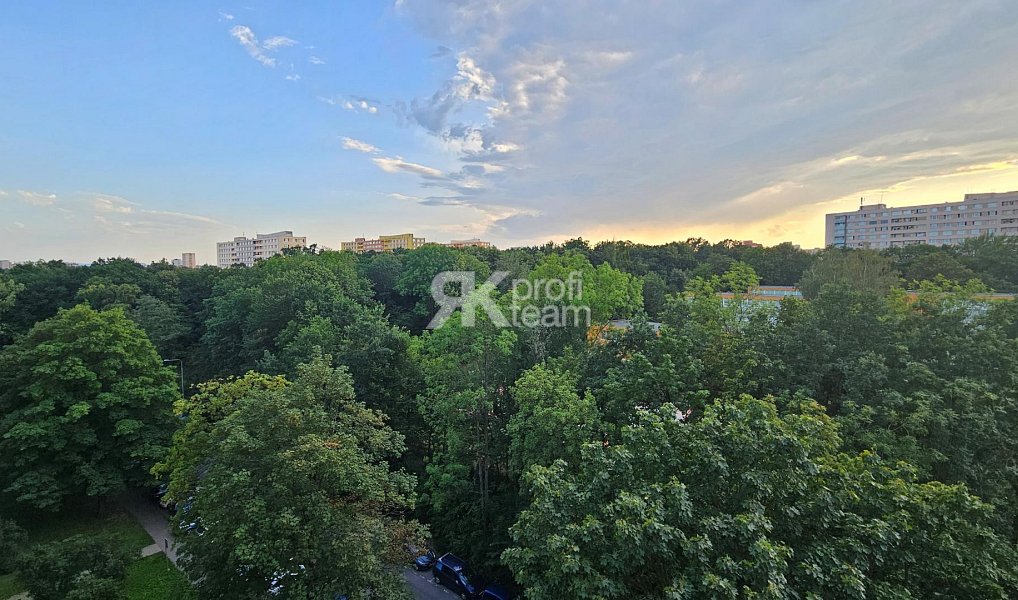 Prodej bytu 3+1 68 m², Ostrava – náhled fotky 11