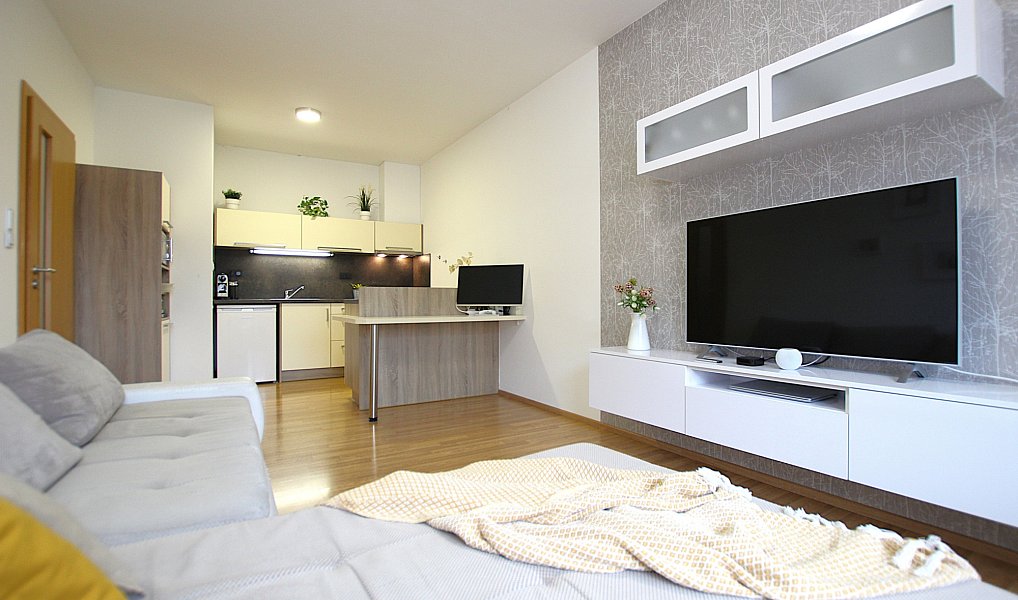 Pronájem bytu 2+kk 44 m², Brno – náhled fotky 5