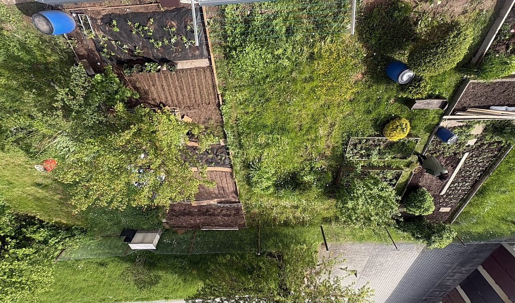 Prodej bytu 3+1 74 m², Nová Paka – náhled fotky 5