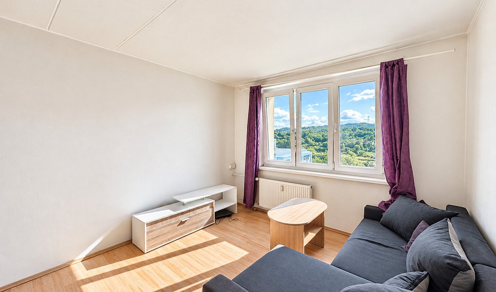 Prodej bytu 1+kk 20 m², Kadaň – náhled fotky 4