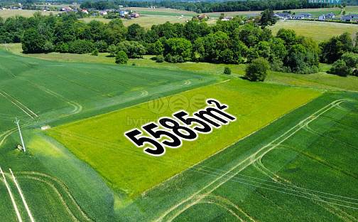 Prodej pole 5 585 m², Sedliště, okres Frýdek-Místek