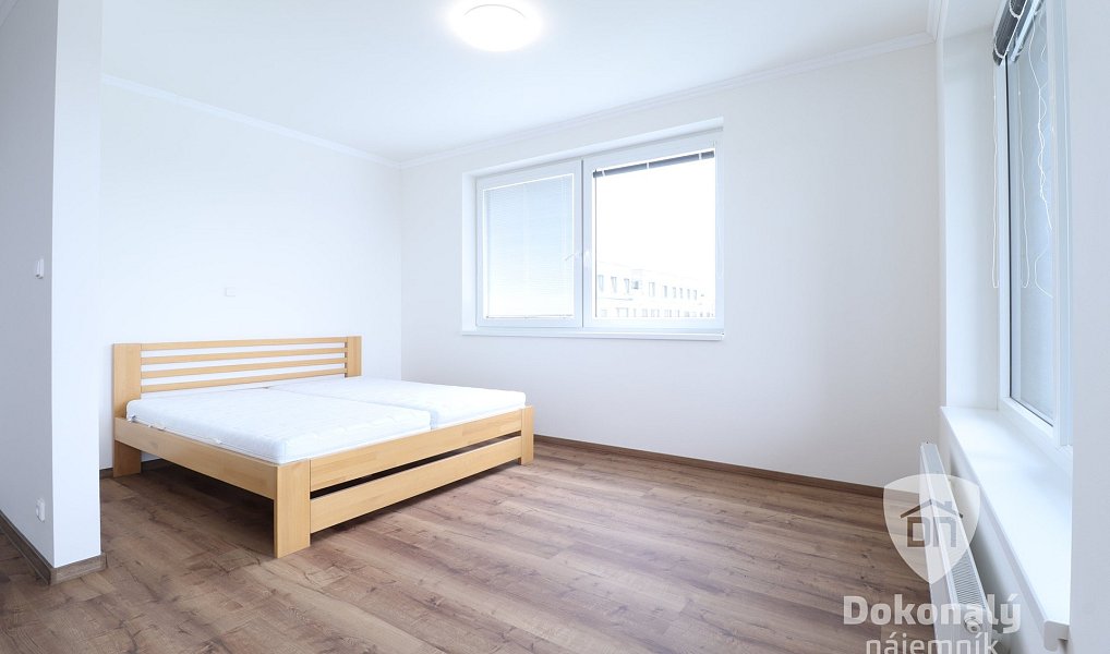 Pronájem bytu 1+kk 53 m², Praha – náhled fotky 5