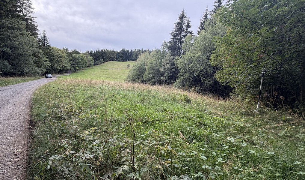 Prodej pozemku 1 194 m², Hutisko-Solanec – náhled fotky 7