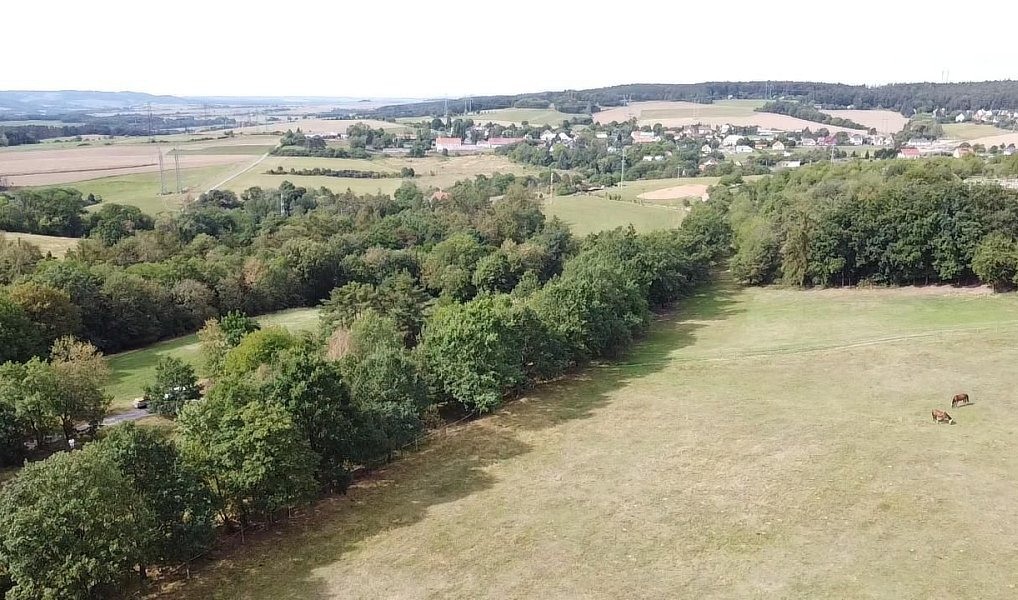 Prodej pozemku 6 229 m², Bojanovice – náhled fotky 10
