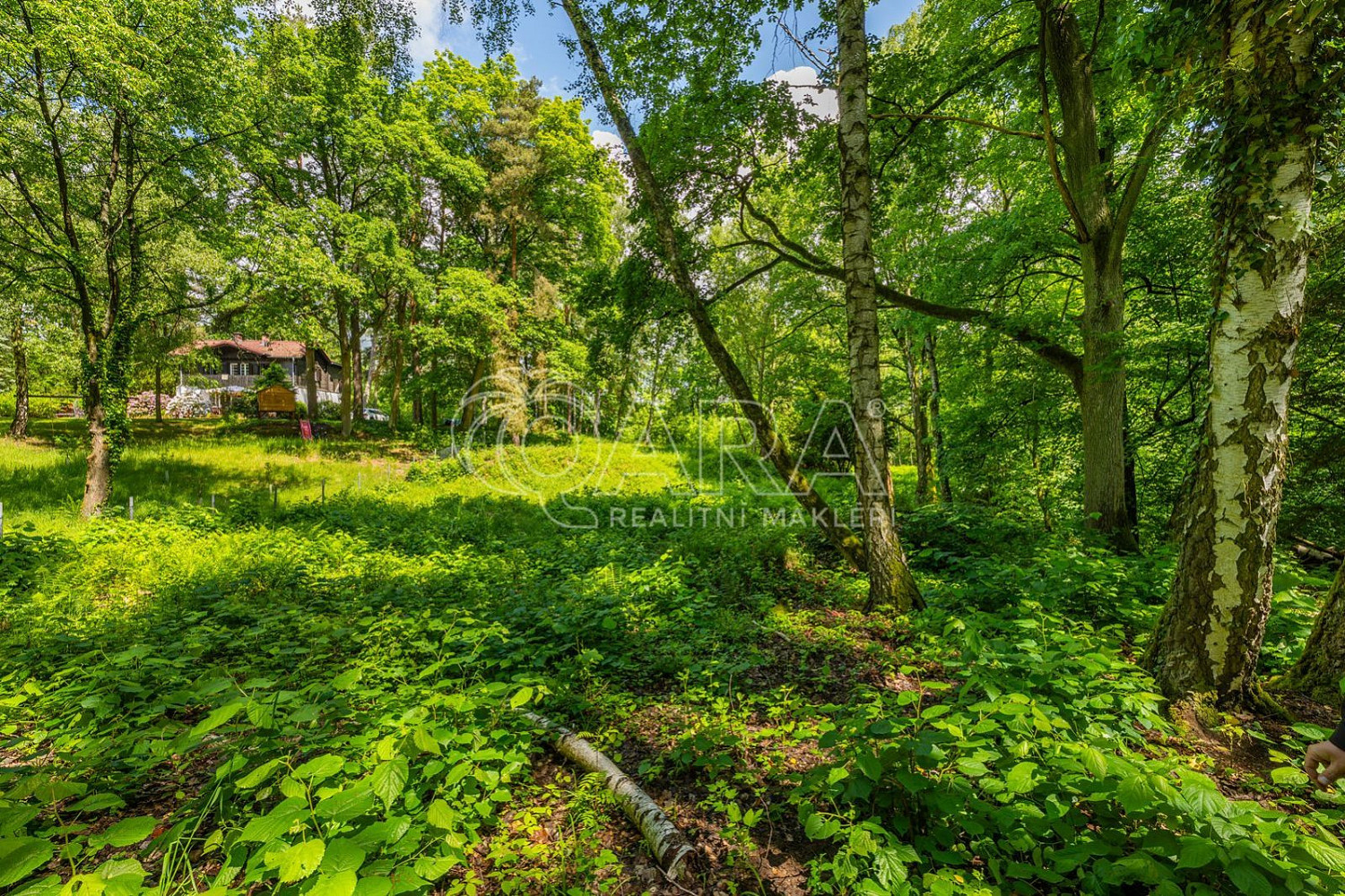 Prodej stavebního pozemku 5 519 m²