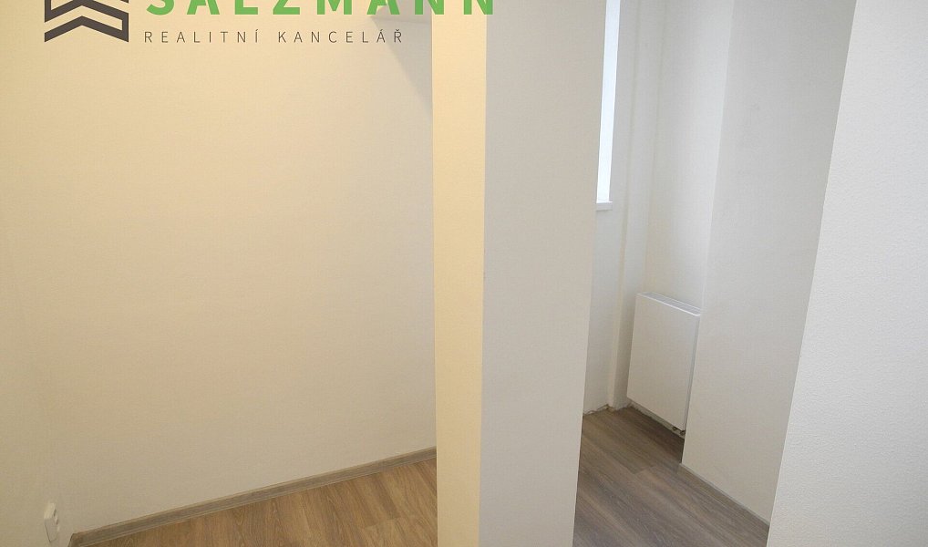 Pronájem bytu 3+kk 79 m², Plzeň – náhled fotky 13
