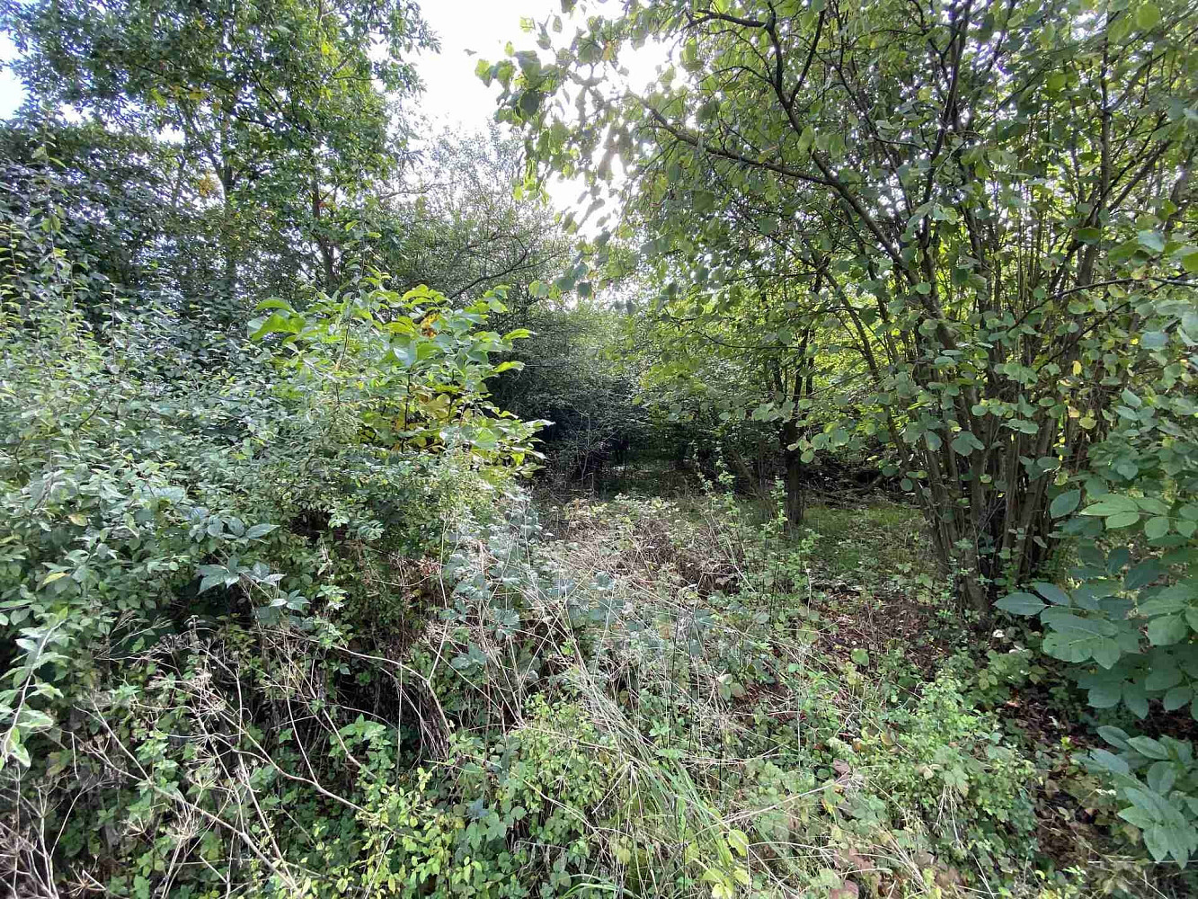 Prodej pozemku 764 m² - Widok 6