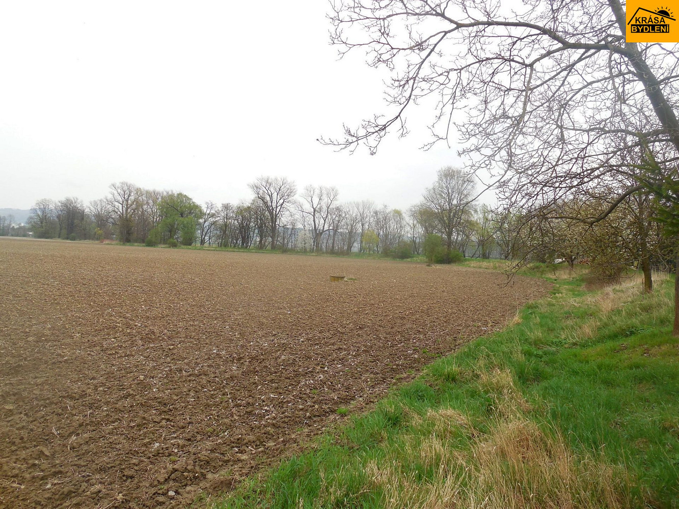 Prodej pole 2 491 m² — photo 2