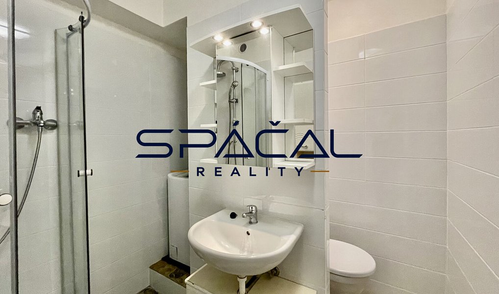 Pronájem bytu 1+1 35 m², Sokolov – náhled fotky 4