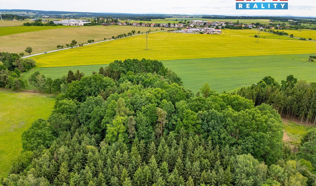 Prodej pole 19 767 m², Slapy – náhled fotky 7