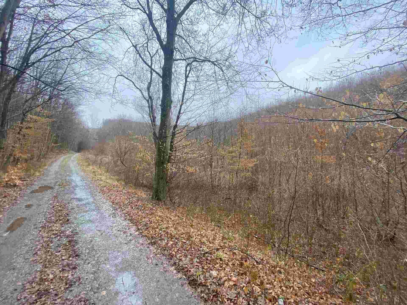 Prodej pole 3 207 m², Ždánice