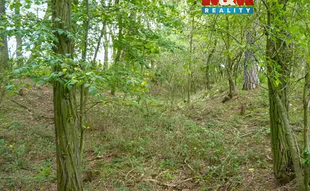 Prodej lesa 675 m², Dolní Habartice, okres Děčín