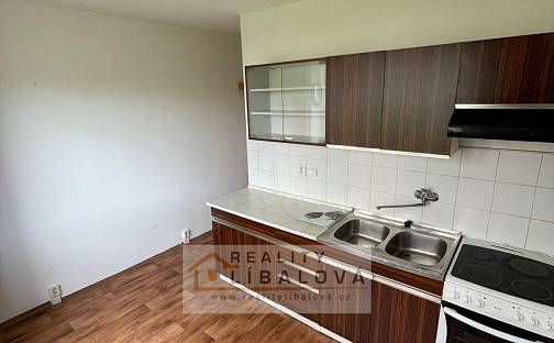 Pronájem bytu 1+1 41 m², Nová, Ústí nad Labem - Střekov