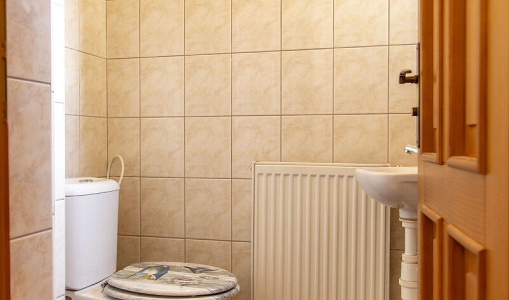 Prodej domu 302 m² s pozemkem 1 176 m², Ratiboř – náhled fotky 29