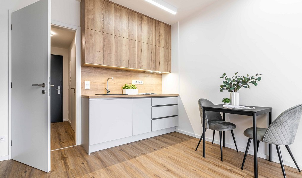 Pronájem bytu 1+kk 27 m², Praha – náhled fotky 6