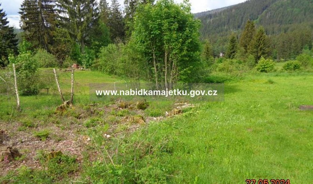 Prodej pozemku 1 282 m², Železná Ruda – náhled fotky 3