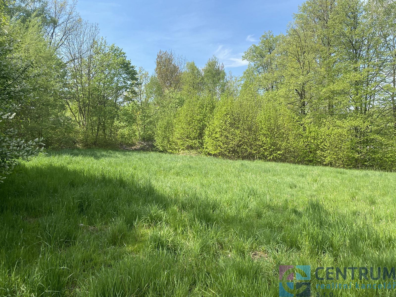 Prodej komerčního pozemku 2 866 m² – fotografie 5