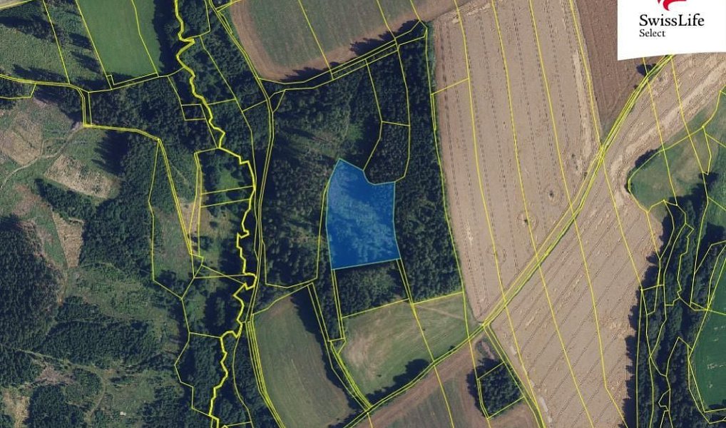 Prodej pole 84 715 m², Trpín – náhled fotky 4