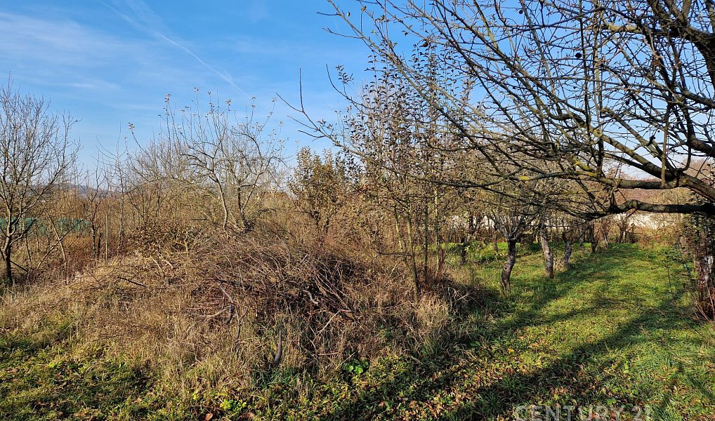 Prodej stavebního pozemku 508 m², Čebín – náhled fotky 5