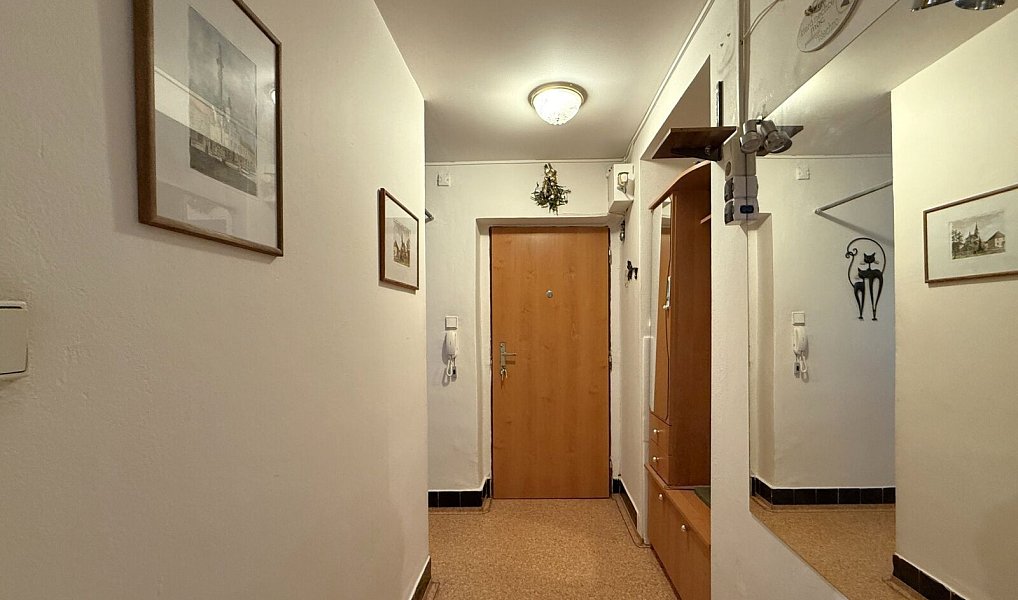 Prodej bytu 2+1 50 m², Plzeň – náhled fotky 14