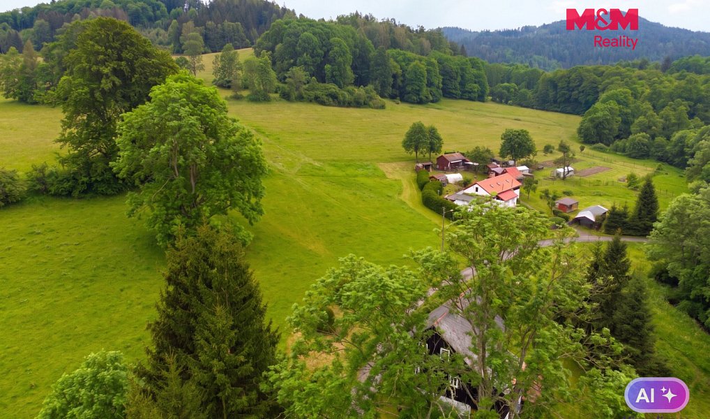 Prodej louky 1 301 m², Chřibská – náhled fotky 5