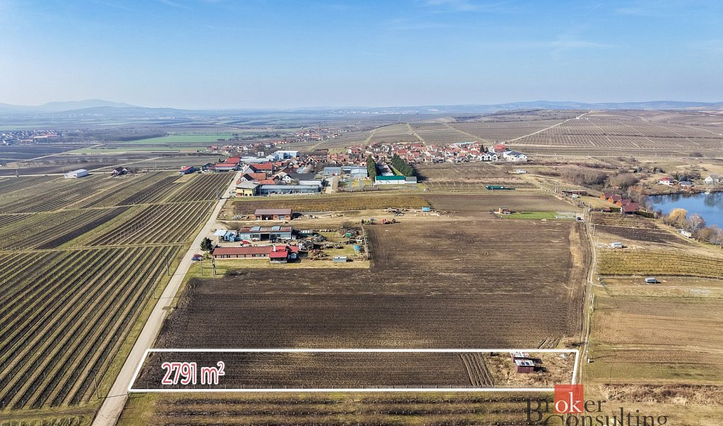 Prodej pozemku 2 791 m², Velké Bílovice – náhled fotky 3