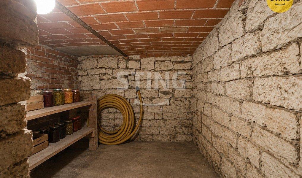 Prodej domu 220 m² s pozemkem 1 307 m², Velké Opatovice – náhled fotky 10