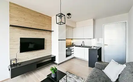 Pronájem bytu 1+kk 42 m²