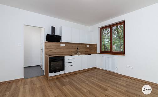 Prodej bytu 2+kk 39 m², Beskydská, Frýdek-Místek - Místek