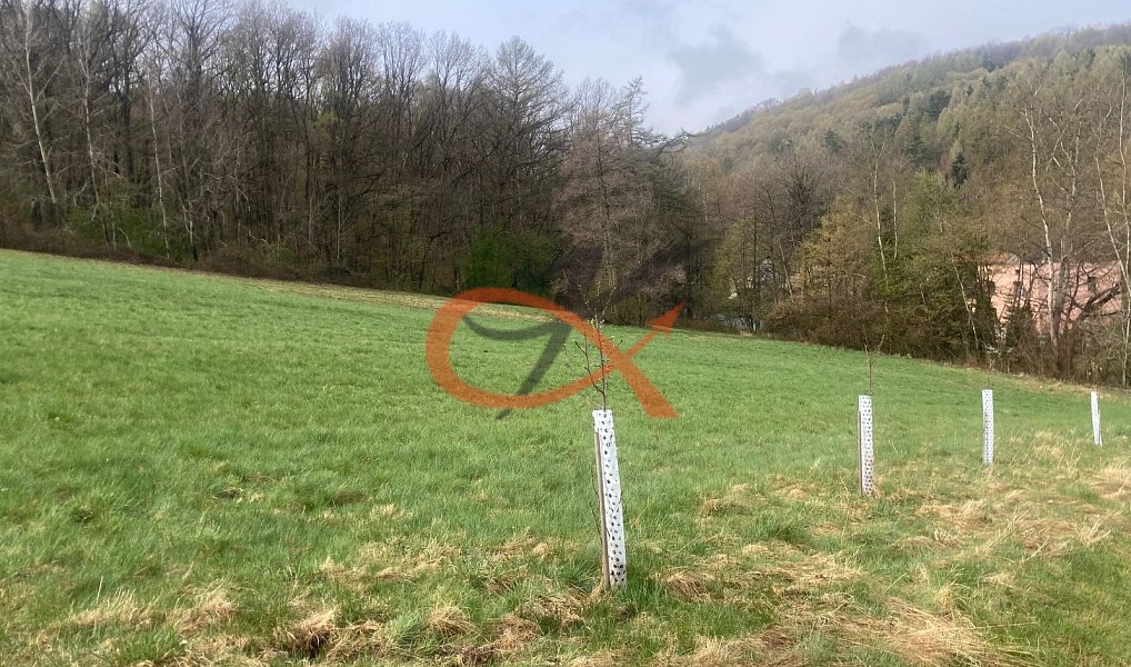 Prodej stavebního pozemku 9 208 m², Háj ve Slezsku – náhled fotky 9