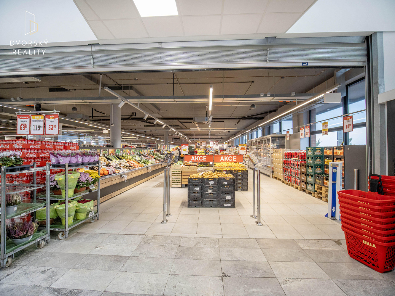 Prodej obchodních prostor 4 857 m² – fotografie 4