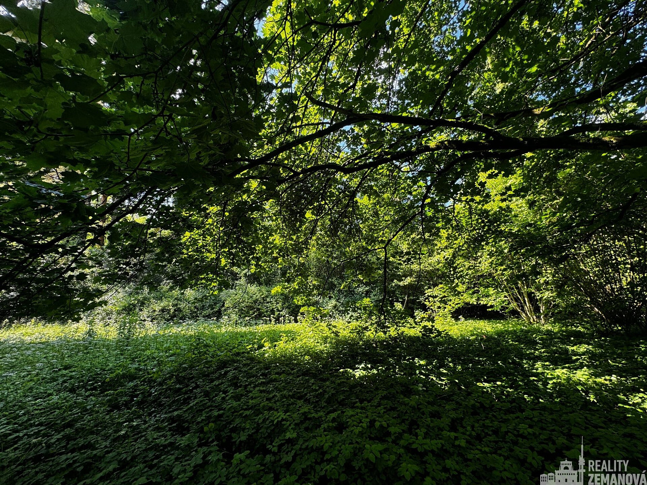 Prodej stavebního pozemku 7 834 m² – fotografie 4
