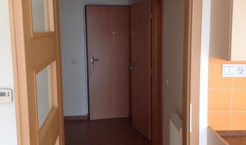 Pronájem bytu 1+kk 30 m², Olomouc – náhled fotky 4
