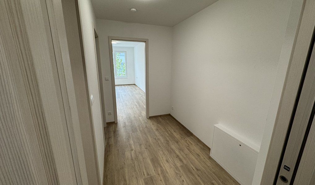 Pronájem bytu 2+kk 61 m², Nepomuk – náhled fotky 13