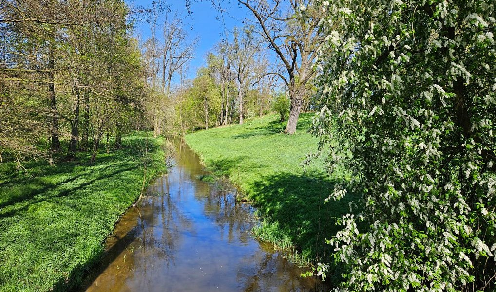 Prodej domu 200 m² s pozemkem 900 m², Veltrusy – náhled fotky 38