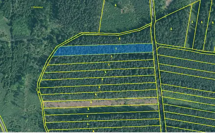 Prodej lesa 4 751 m², Bechyně - Hvožďany, okres Tábor