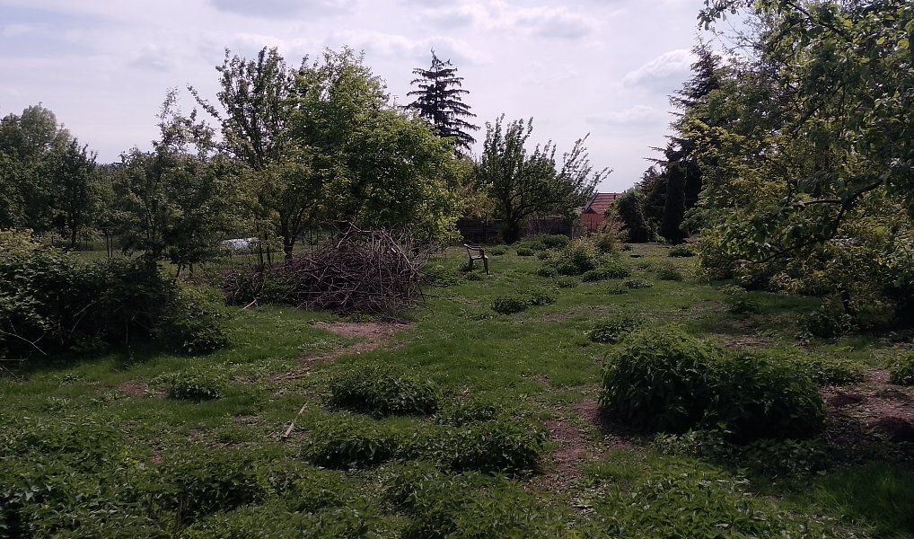 Prodej stavebního pozemku 2 114 m², Tvorovice – náhled fotky 4