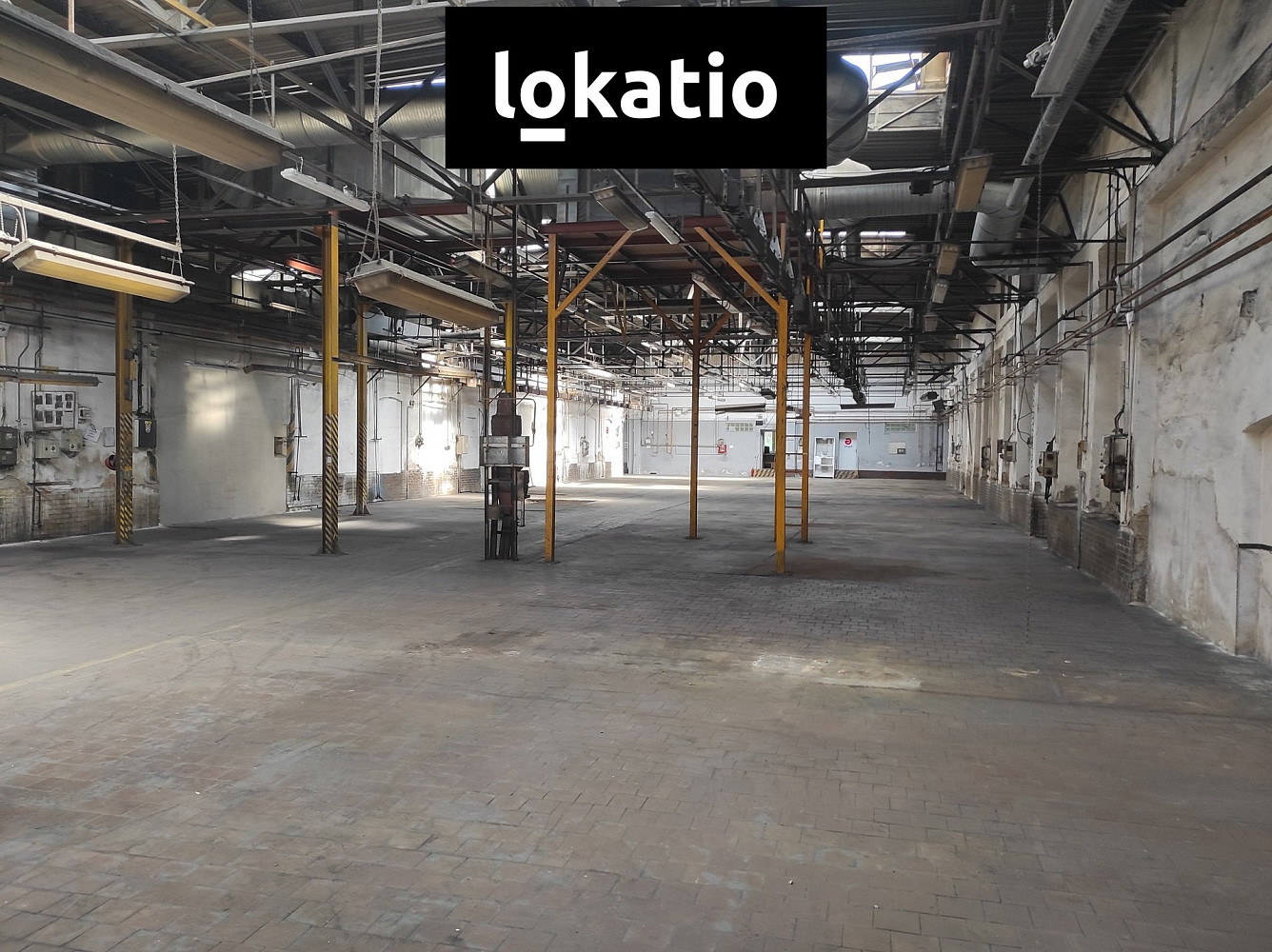 Fotka 5 z 15