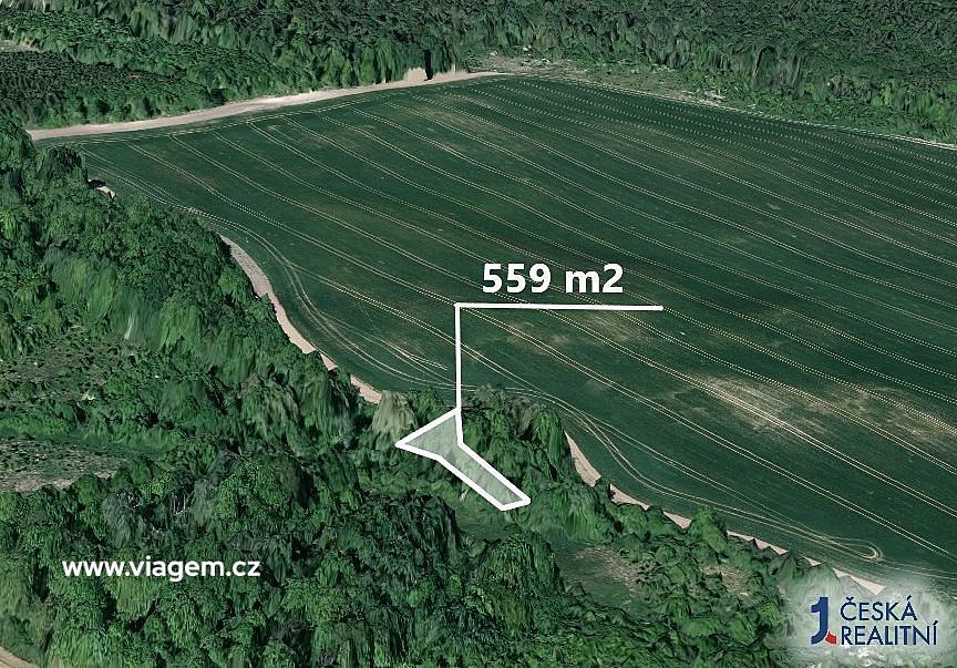 Prodej pole 559 m² – fotografie 2