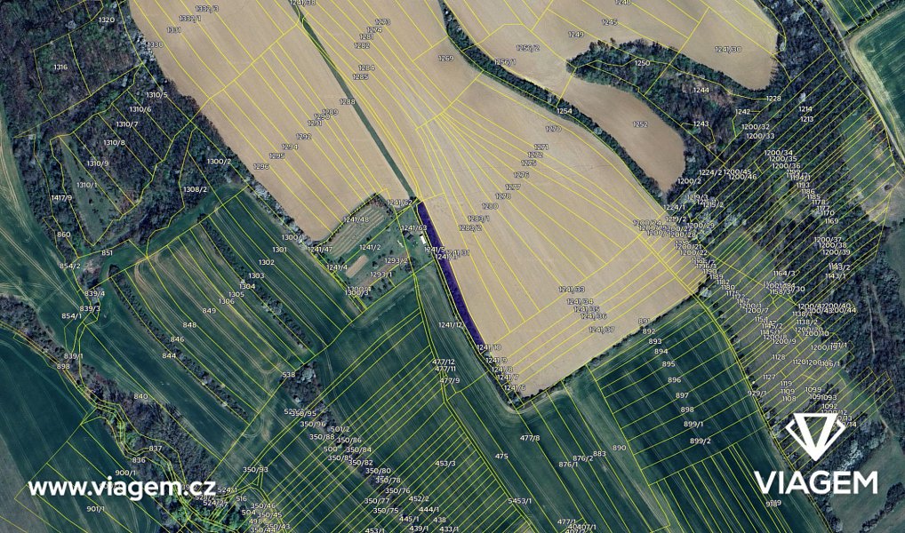 Prodej pole 289 m², Traplice – náhled fotky 4